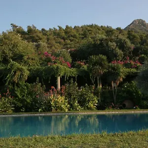 https://antik-zeytin-hotel-art-boutique-class.aegeanhotels.net
